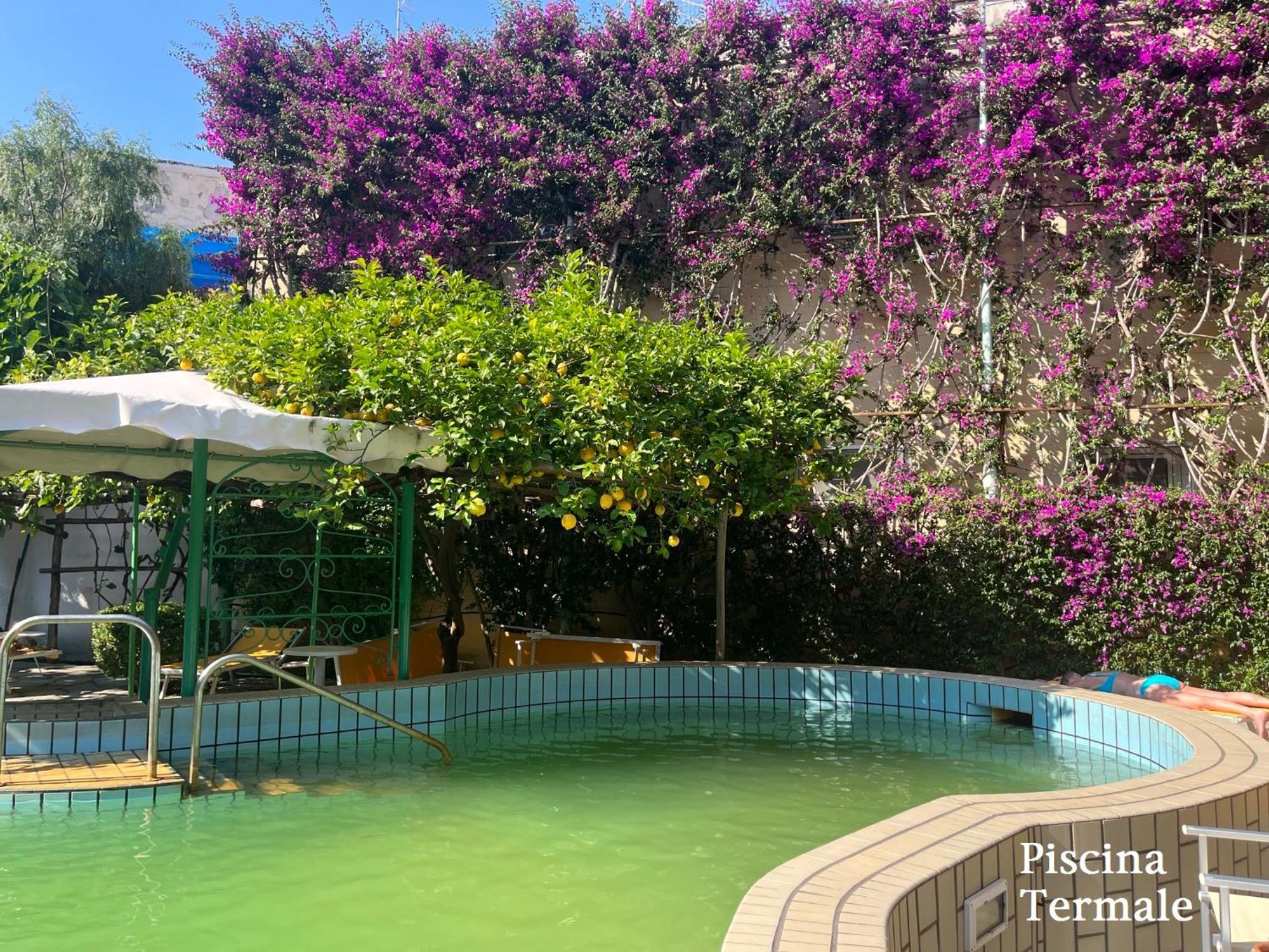 Villa Ciccio Ischia Exterior foto