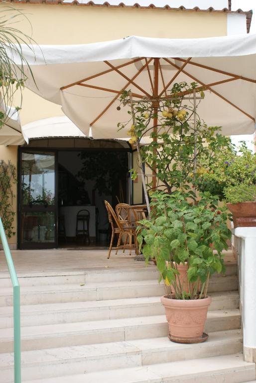 Villa Ciccio Ischia Exterior foto