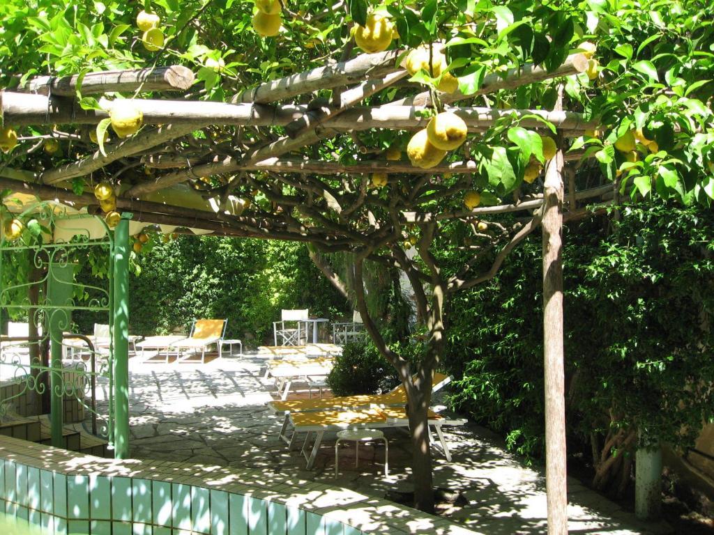 Villa Ciccio Ischia Exterior foto